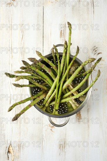 Freshly harvested asparagus resting in a colander ready for cooking or preparation