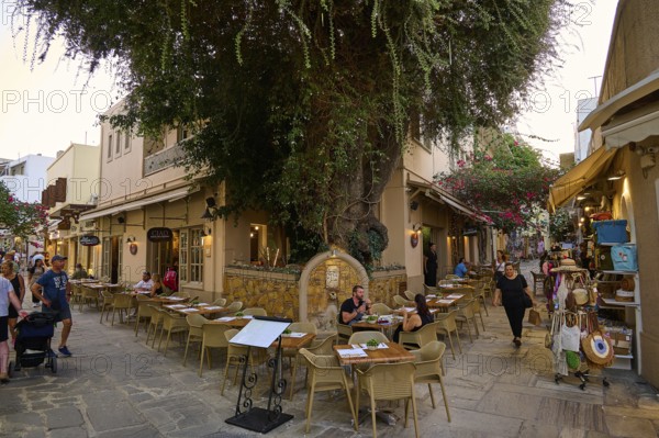 Ifestou Alley, A cosy alleyway café in a narrow alley under a large tree, Kos Town, Kos, Dodecanese, Greek Islands, Greece