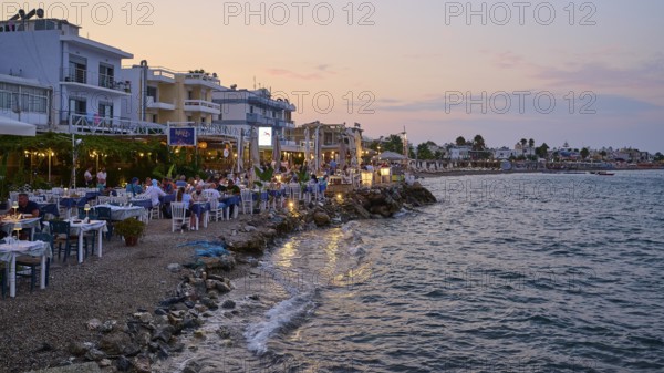 Restaurants at the Turkish ferry harbour, coastline with restaurants and relaxed atmosphere at sunset over the sea, Kos Town, Kos, Dodecanese, Greek Islands, Greece