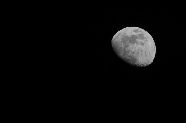 Moon (Luna), half moon in front of black sky, waxing moon, Wilnsdorf, North Rhine-Westphalia, Germany