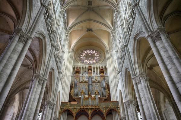 Interior view, west gallery, main organ, rose window, Cathédrale Notre-Dame d'Amiens, Amiens, Somme, France