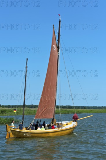 Zeesenboot sailing on the Achterwasser near Krummin, Usedom Island, Mecklenburg-Vorpommern, Germany