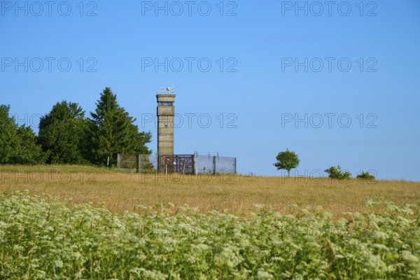 Meadow with an isolated watchtower of the former inner-German border next to a green tree and meadows, summer, Fladungen, Frankenheim, Hohe Rhön, Rhön, Hesse, Thuringia, Bavaria, Germany