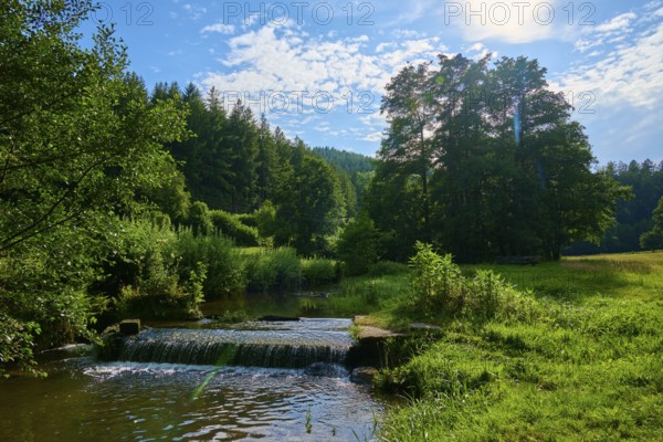 Small waterfall in a green forest under a blue sky with clouds, summer, Ohrnbachtal, Weckbach, Odenwald, Bavaria, Germany