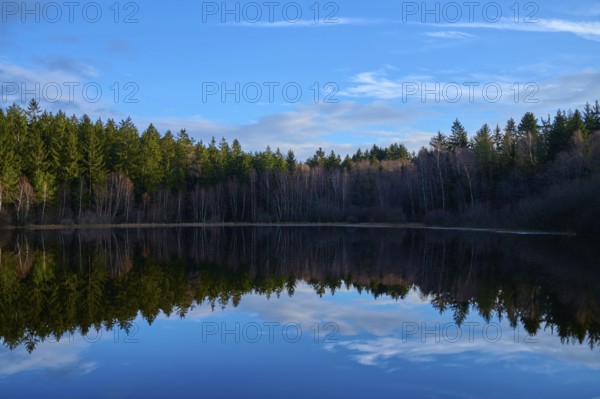 A clear lake with a perfect reflection of the blue sky and clouds, surrounded by forest, Mülbenersee, Mülben, Odenwald, Baden-Württemberg, Germany