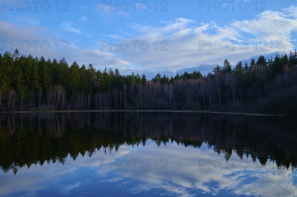 A lively lake with a clear reflection of the blue sky and clouds, surrounded by a forest, Mülbenersee, Mülben, Odenwald, Baden-Württemberg, Germany