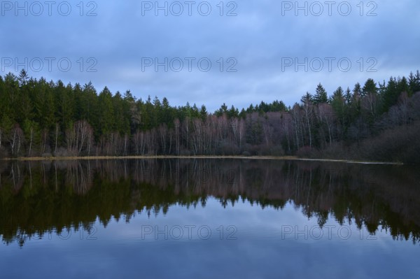A quiet lake at dusk, surrounded by a dense forest and a reflection in the water, Mülbenersee, Mülben, Odenwald, Baden-Württemberg, Germany