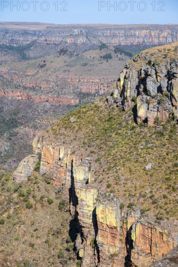 Cliffs at the gorge of the Blyde River, Lowveld Viewpoint, in the evening light, canyon landscape, Blyde River Canyon, Panorama Route, Mpumalanga, South Africa