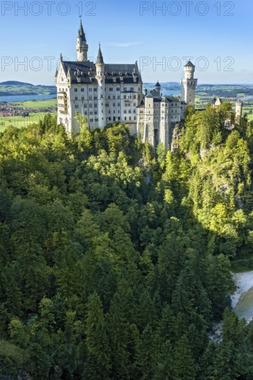 Neuschwanstein Castle by King Ludwig II above the Pöllat Gorge, fairytale castle in the Neo-Romanesque style, UNESCO World Heritage Site, Forggensee, Bannwaldsee, Schwangau, Königswinkel, Allgäu, Swabia, Bavaria, Germany