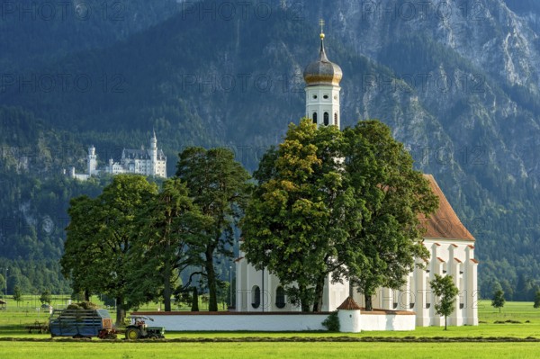 Pilgrimage church of St Coloman, Baroque, Neuschwanstein Castle by King Ludwig II, fairytale castle in neo-Romanesque style, UNESCO World Heritage Site, tractor with hay cart in the field, warm evening light, Schwangau, Füssen, Allgäu, Swabia, Bavaria, Germany