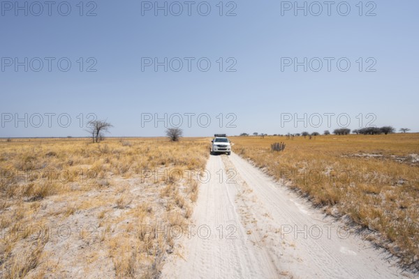 Off-road car explores arid landscape, Makgadikgadi salt pans, Botswana