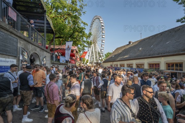 Ferris wheel at the Erlangen Bergkirchweih, traditional twelve-day folk festival, Erlangen, Middle Franconia, Bavaria, Germany