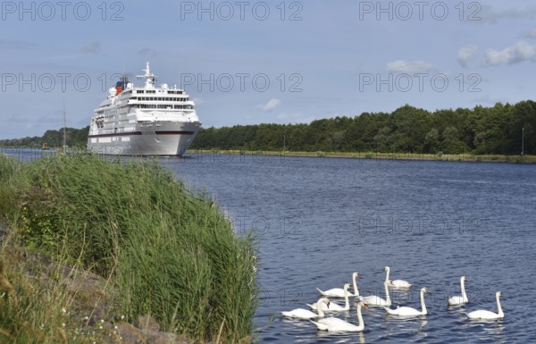 MS EUROPA, cruise ship EUROPA sailing in the Kiel Canal, NOK, Kiel Canal, Kielkanal, Schleswig-Holstein, Germany