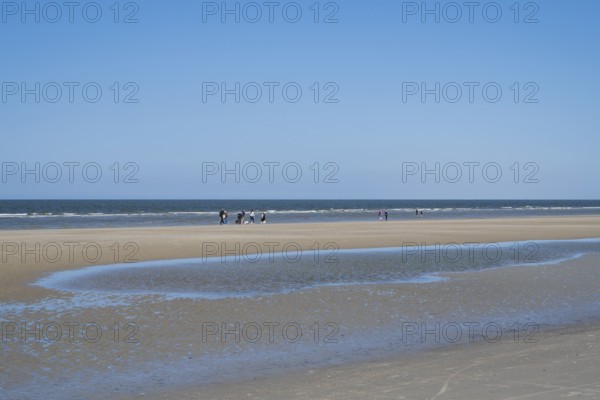 Sandbank, people on the coast, blue sky, Sankt Peter Ording, Eiderstedt, North Frisia, North Sea, Schleswig-Holstein, Germany