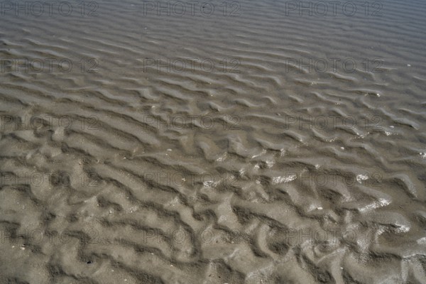 Seabed with ripples, low tide at the North Sea, Sankt Peter Ording, Eiderstedt, North Frisia, North Sea, Schleswig-Holstein, Germany