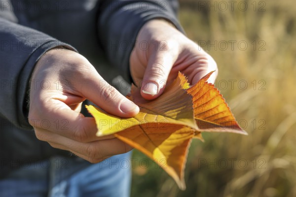 Hands holding yellow autumn leaves outdoors. Captures the beauty of fall and connection with nature. Generative ai, AI generated