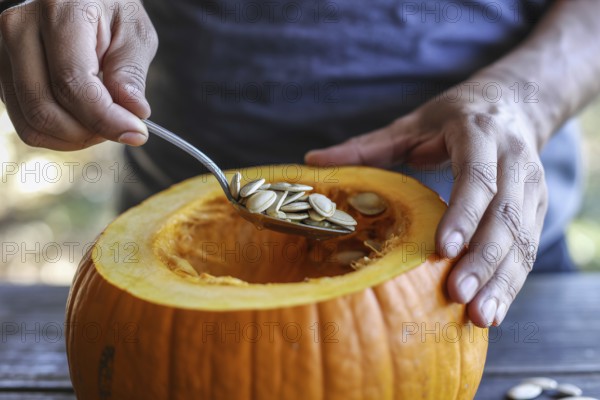 Hand scooping pumpkin seeds from a fresh pumpkin in the kitchen. Preparing pumpkin seeds for roasting and cooking. Generative AI, AI generated