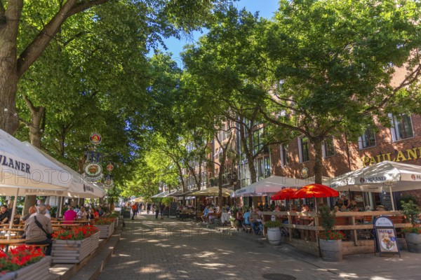 The Schlachte, historic riverside promenade along the Weser with restaurants and cafés in the shade of trees, outdoor seating area, pedestrian zone, flower pots, Old Town, Hanseatic City of Bremen, Germany