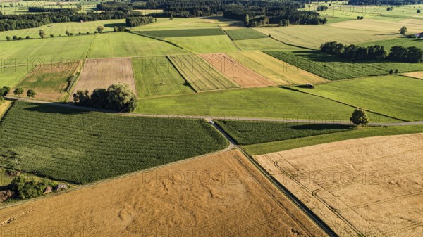 Aerial view of grain fields west of Augsburg, Bavaria, Germany