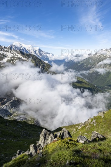 High alpine mountain landscape, mountain panorama with view over the valley of Chamonix, in the background summit of Mont Blanc, Chamonix, Haute-Savoie, France