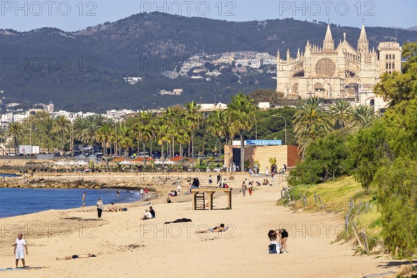 View at Palma Cathedral from a sand beach with sunbathing people by the mediterranean sea and the mountains in background a sunny summer day, Palma de Mallorca, Mallorca, Spain