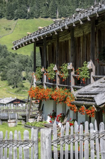 Colourful floral decorations at a rustic alpine hut, Ridnauntal, South Tyrol, Italy