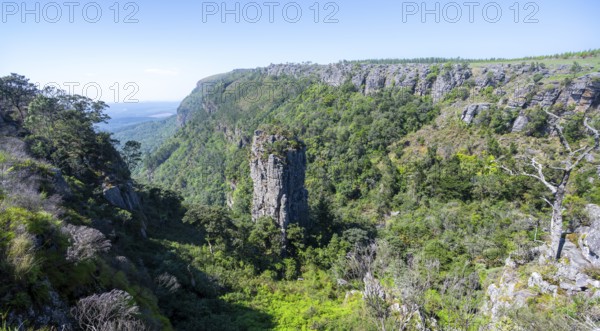 Rock needle in a densely forested canyon, Pinnacle Rock, view over canyon landscape, near Graskop, Mpumalanga, South Africa