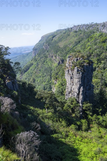 Rock needle in a densely forested canyon, Pinnacle Rock, view over canyon landscape, near Graskop, Mpumalanga, South Africa