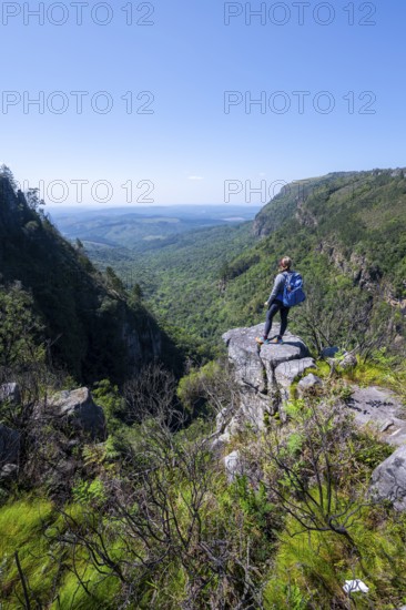 Young woman standing on a rocky outcrop, view over densely forested canyon, Pinnacle Rock, near Graskop, Mpumalanga, South Africa