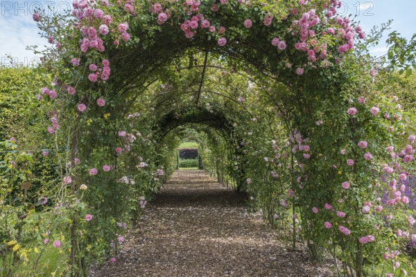 Rose-covered arched path in a green garden with a peaceful atmosphere, Netherlands