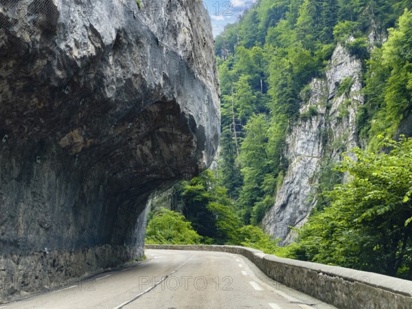 Mountain road in the Western Alps in the style of a balcony road with rock overhang above the carriageway, departmental road D512 Route du Col de Porte north of Grenoble, Sarcenas, Arrondissement Grenoble, Département Isère, Region Auvergne-Rhône-Alpes, France