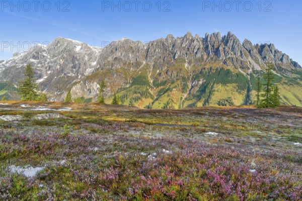 Autumn on the Hochkeil, Mandelwand, Hochkönig, Berchtesgaden Alps, Mühlbach am Hochkönig, Pongau, Salzburg