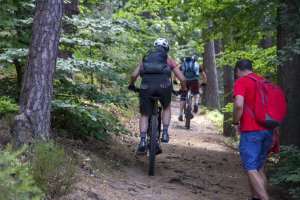 Opposite side Consideration of mountain bikers and hikers in the Palatinate Forest