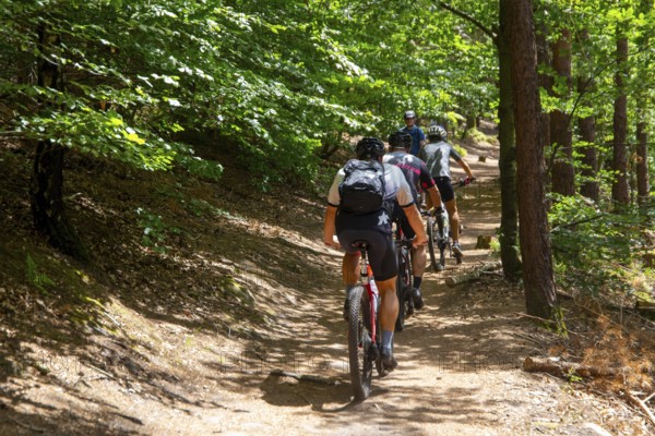 Group of mountain bikers in the central Palatinate Forest