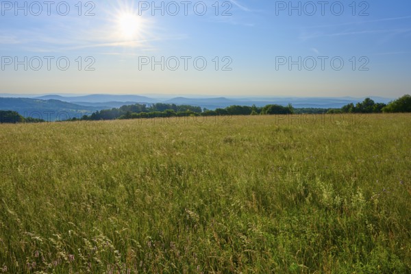 Sun-drenched meadows with hills and a clear blue sky on the horizon, Fladungen, Frankenheim, Hohe Rhön, Rhön, Hesse, Thuringia, Bavaria, Germany