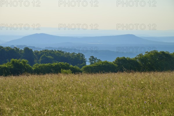 Wide meadow landscape with wooded hills and detailed horizon under a clear sky, Fladungen, Frankenheim, Hohe Rhön, Rhön, Hesse, Thuringia, Bavaria, Germany