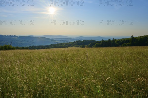 Sunrise over a vast field with rolling hills and blue streaks of sky, Fladungen, Frankenheim, Hohe Rhön, Rhön, Hesse, Thuringia, Bavaria, Germany