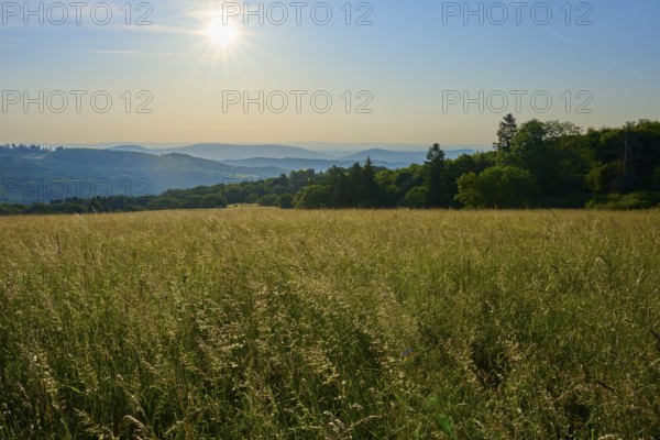 Sunlit meadow landscape with rolling hills and wooded mountain ranges on the horizon, Fladungen, Frankenheim, Hohe Rhön, Rhön, Hesse, Thuringia, Bavaria, Germany