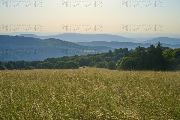 Wide landscape with undulating meadows and wooded hills in the background under a clear sky, Fladungen, Frankenheim, Hohe Rhön, Rhön, Hesse, Thuringia, Bavaria, Germany