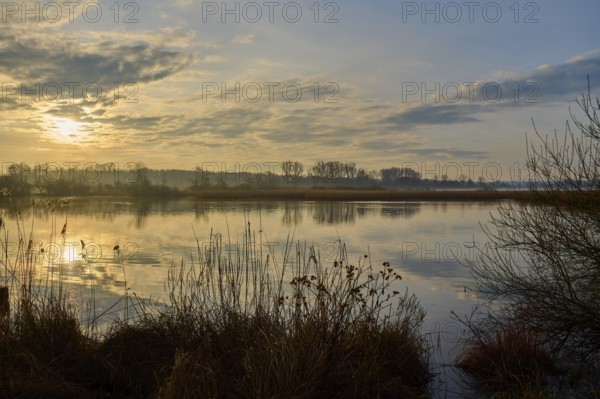 Atmospheric lake landscape at sunrise, calm water with reflections and reeds in the foreground, Reinheimer Teich, Reinheim, Hesse, Germany