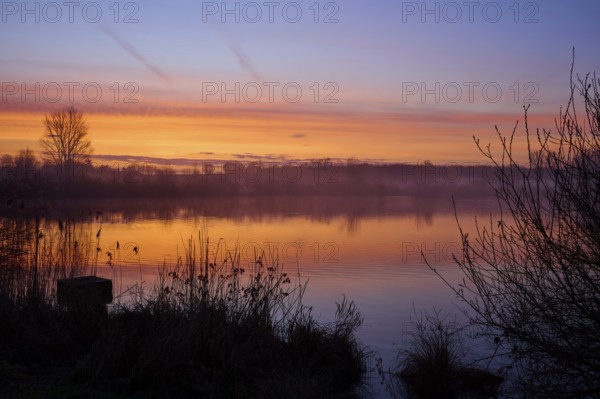 Vivid morning light at sunrise over a quiet lake, Reinheimer Teich, Reinheim, Hesse, Germany