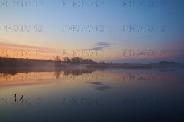 Calm lake at sunrise with soft colours and clear reflections, Reinheimer Teich, Reinheim, Hesse, Germany