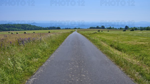 Endless road leads through green fields under a clear blue sky with hills in the distance, Koppelhutweg, Lange Rhön, Hausen, Rhön, Bavaria, Germany