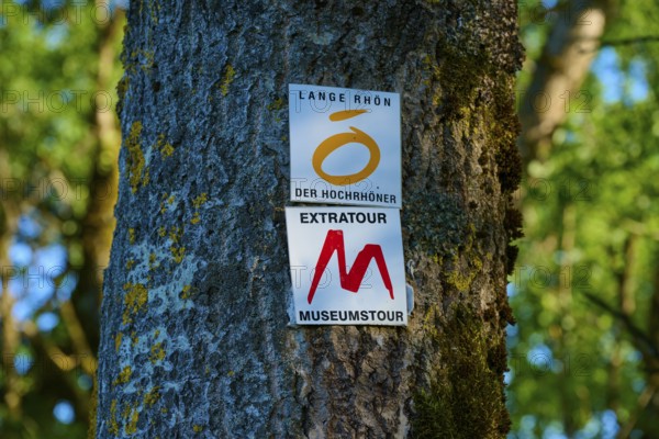 Signs on a tree trunk in a forest, surrounded by green leaves, Fladungen, Frankenheim, Hohe Rhön, Rhön, Hesse, Thuringia, Bavaria, Germany