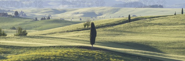 Landscape at sunrise around Pienza, Val d'Orcia, Orcia Valley, UNESCO World Heritage Site, Province of Siena, Tuscany, Italy
