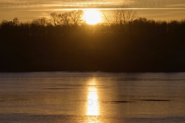 A still lake reflects the golden sunlight of a sunrise behind the trees, Reinheimer Teich, Reinheim, Hesse, Germany