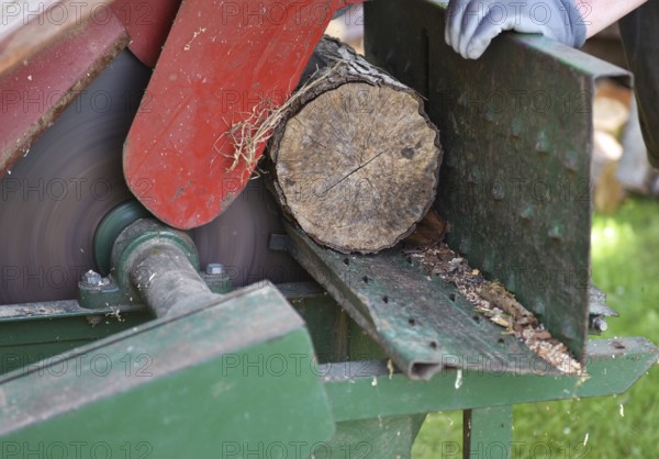 Sawing wood, firewood with the circular saw