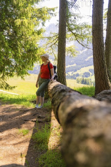 Woman leaning against a tree trunk, enjoying the forest landscape, Alpe di Siusi, Dolomites, South Tyrol, Italy