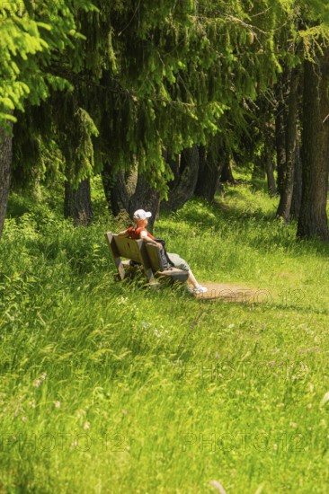 Person sitting on a bench at the edge of a green forest and relaxing, Alpe di Siusi, Dolomites, South Tyrol, Italy