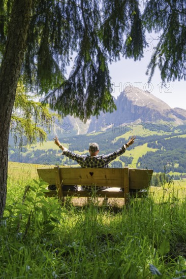 Person with outstretched arms on a bench in front of mountains and fir trees, Alpe di Siusi, Dolomites, South Tyrol, Italy